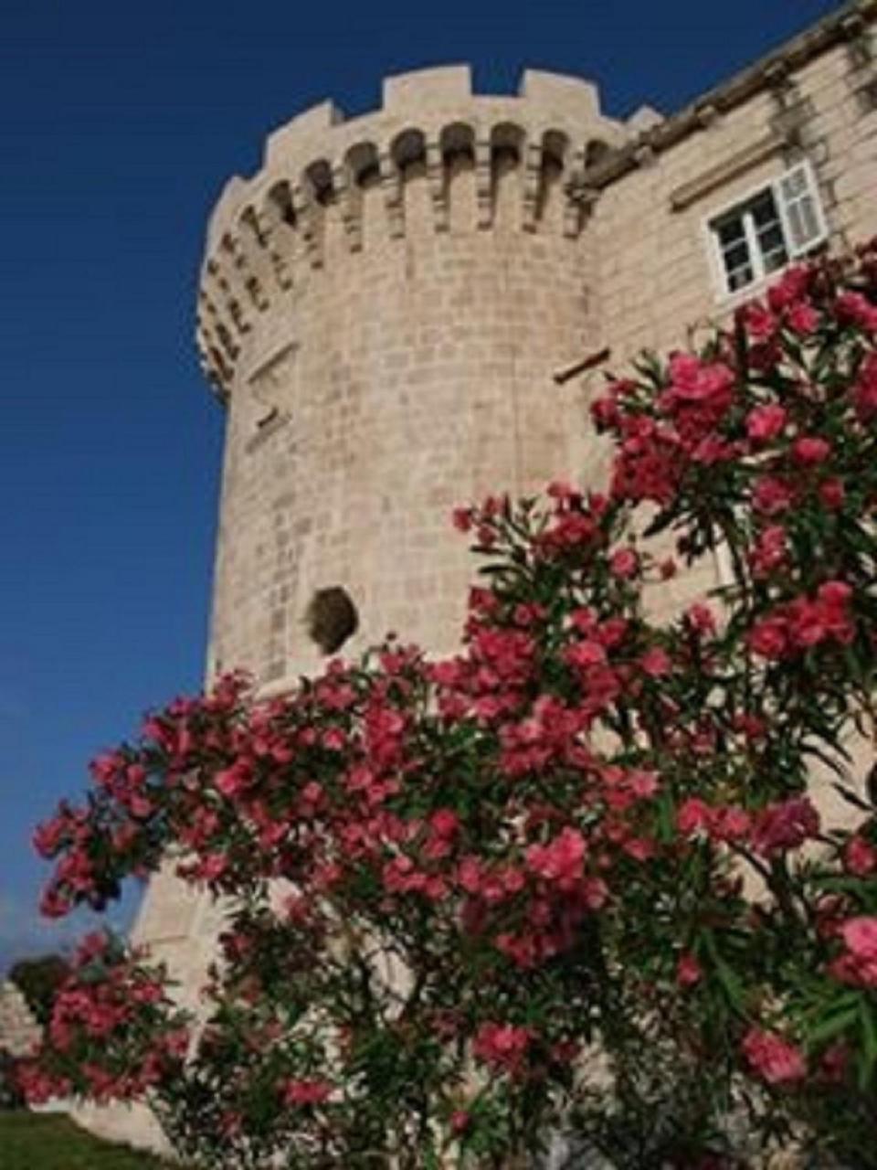 Villa Jade Apartments Front Row Sea View - Walk To Korcula Old Town Medvinjak Exterior photo